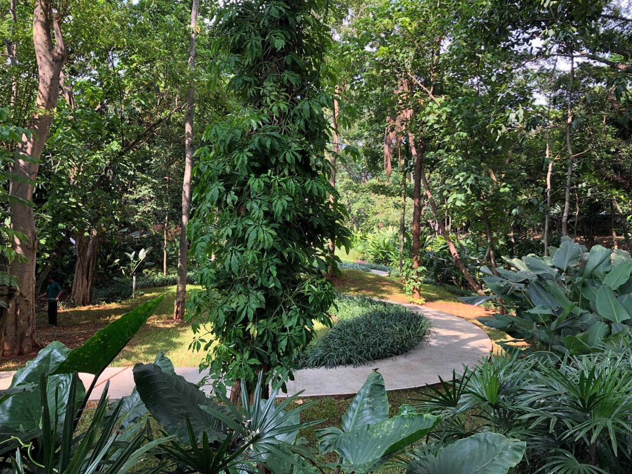 Gaya Hidup Pet Parents Makin Populer, Trek Joging Ramah Hewan Peliharaan Hadir di Jakarta