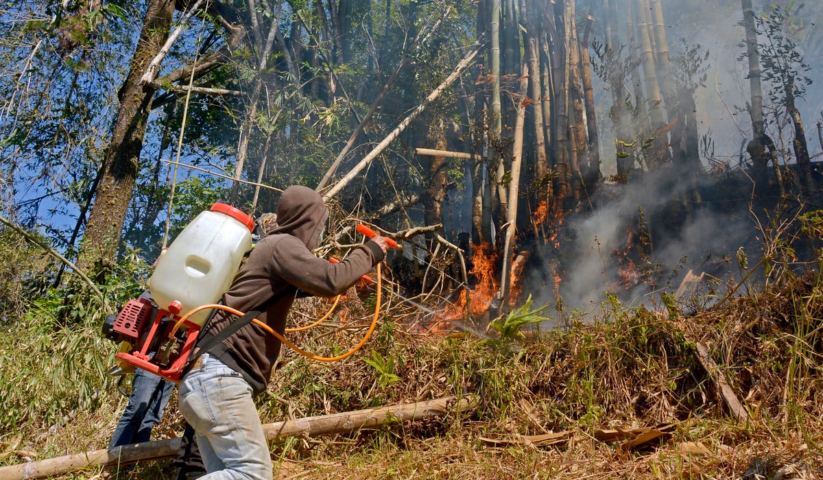 Kebakaran di kawasan hutan pinus Malino, Kabupaten Gowa, Sulawesi Selatan.