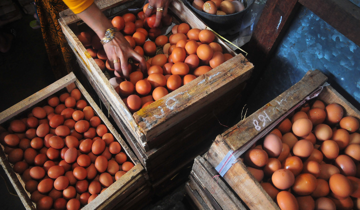 Pedagang menata telur ayam di Pasar Bitingan, Kudus, Jawa Tengah.