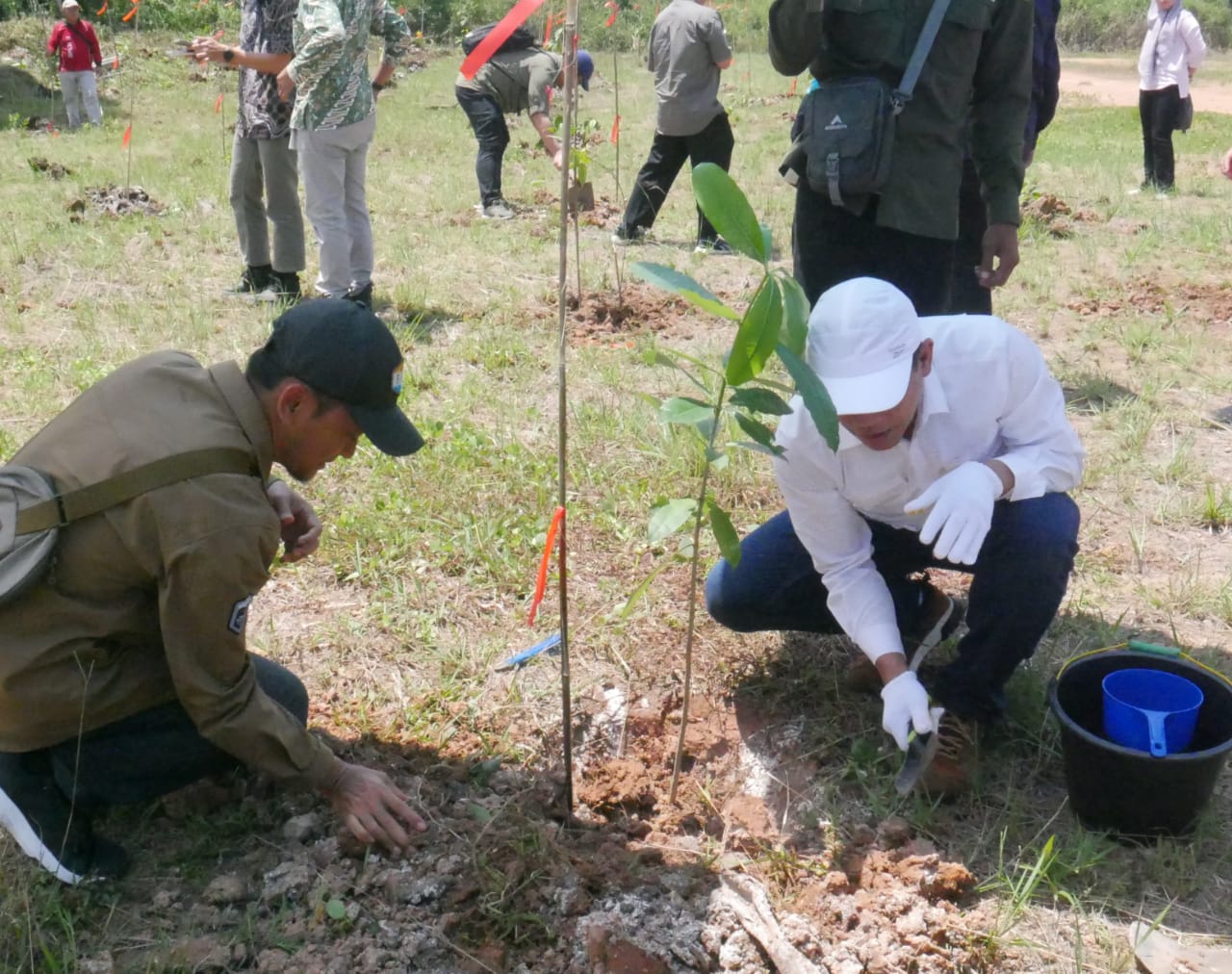 Dirjen PKTL Kementerian LHK melakukan peninjauan dan penanaman di lokasi Rehab DAS SKK Migas dan Medco E&P di Kabupaten Ogan Ilir, Sumsel. 