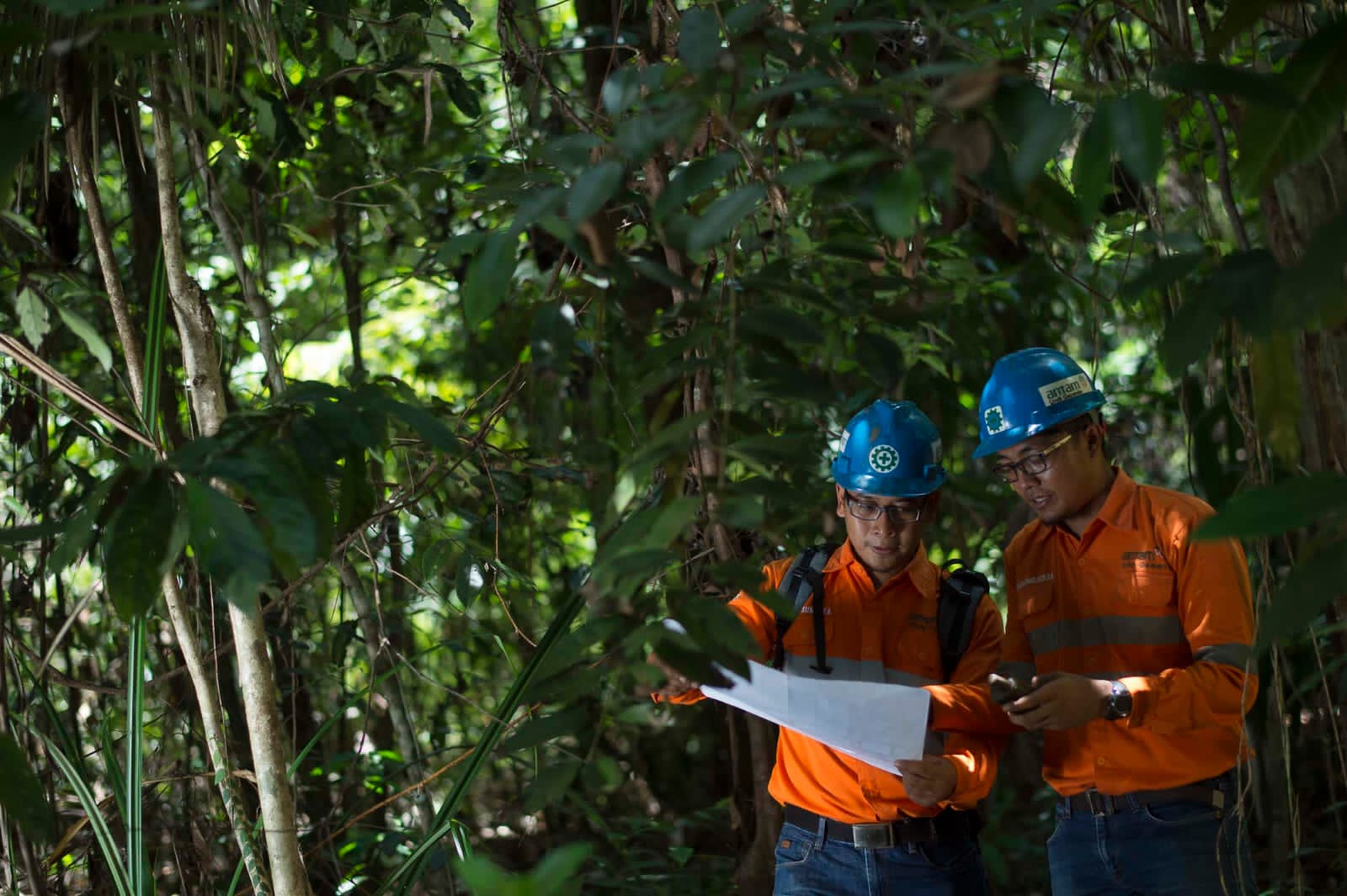 Grup Mind Id konsisten menjalankan pengelolaan bisnis berkelanjutan termasuk kepeduliannya terhadap lingkungan hidup dan sosial.