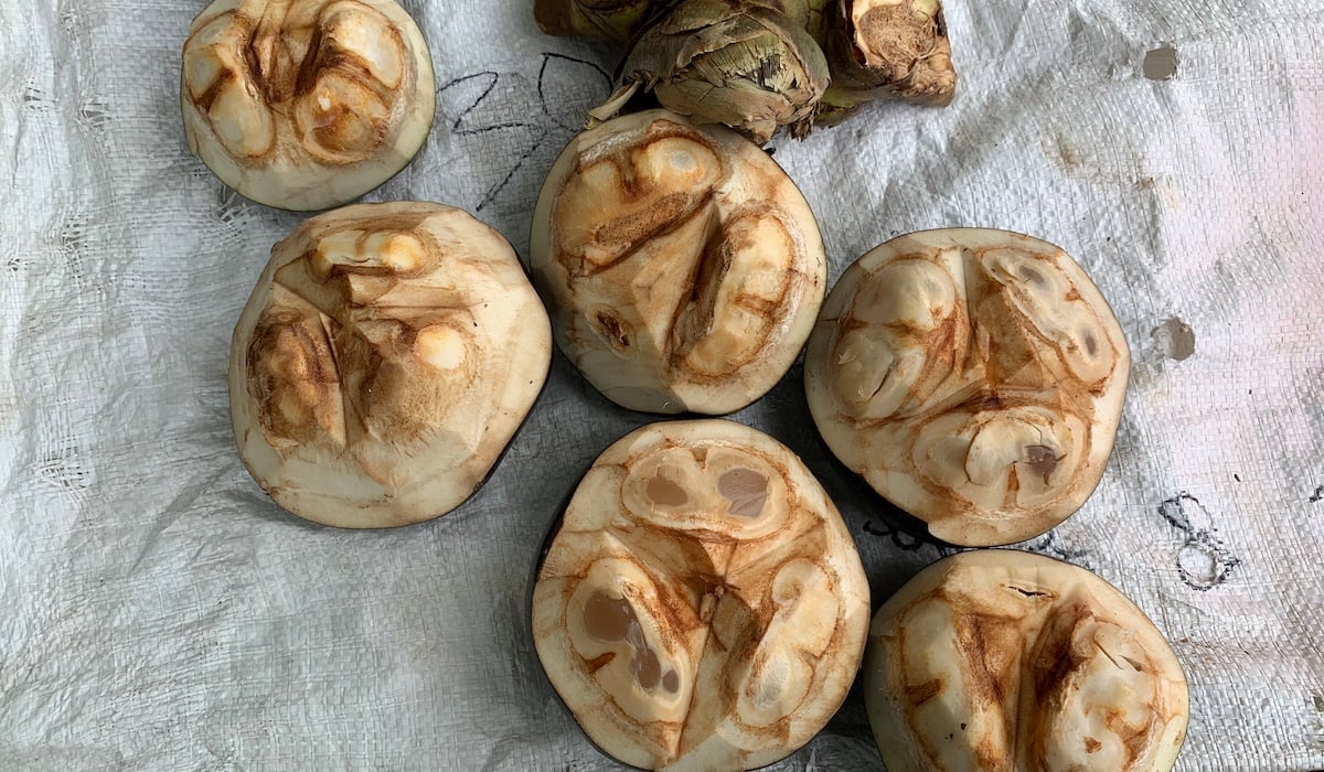 10 manfaat buah Lontar untuk tubuh