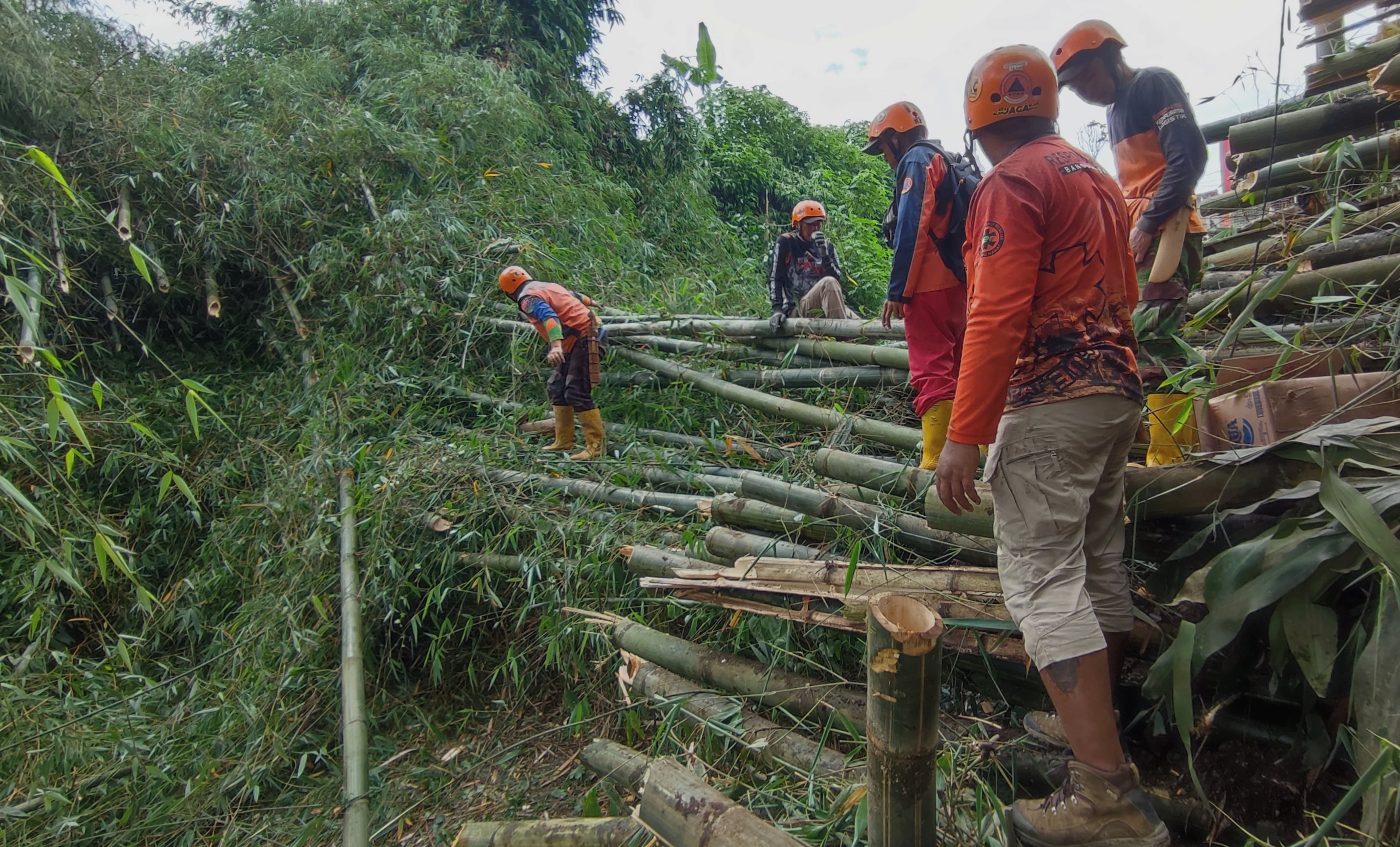 Rumpun Bambu Tumbang Menghalangi Jalan Alternatif di Lembang