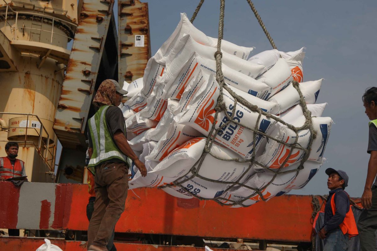 Aktivitas bongkar muat beras impor dari kapal Thai Bin asal Vietnam di Pelabuhan Tanjung Priok, Jakarta, Kamis (12/10/2023).