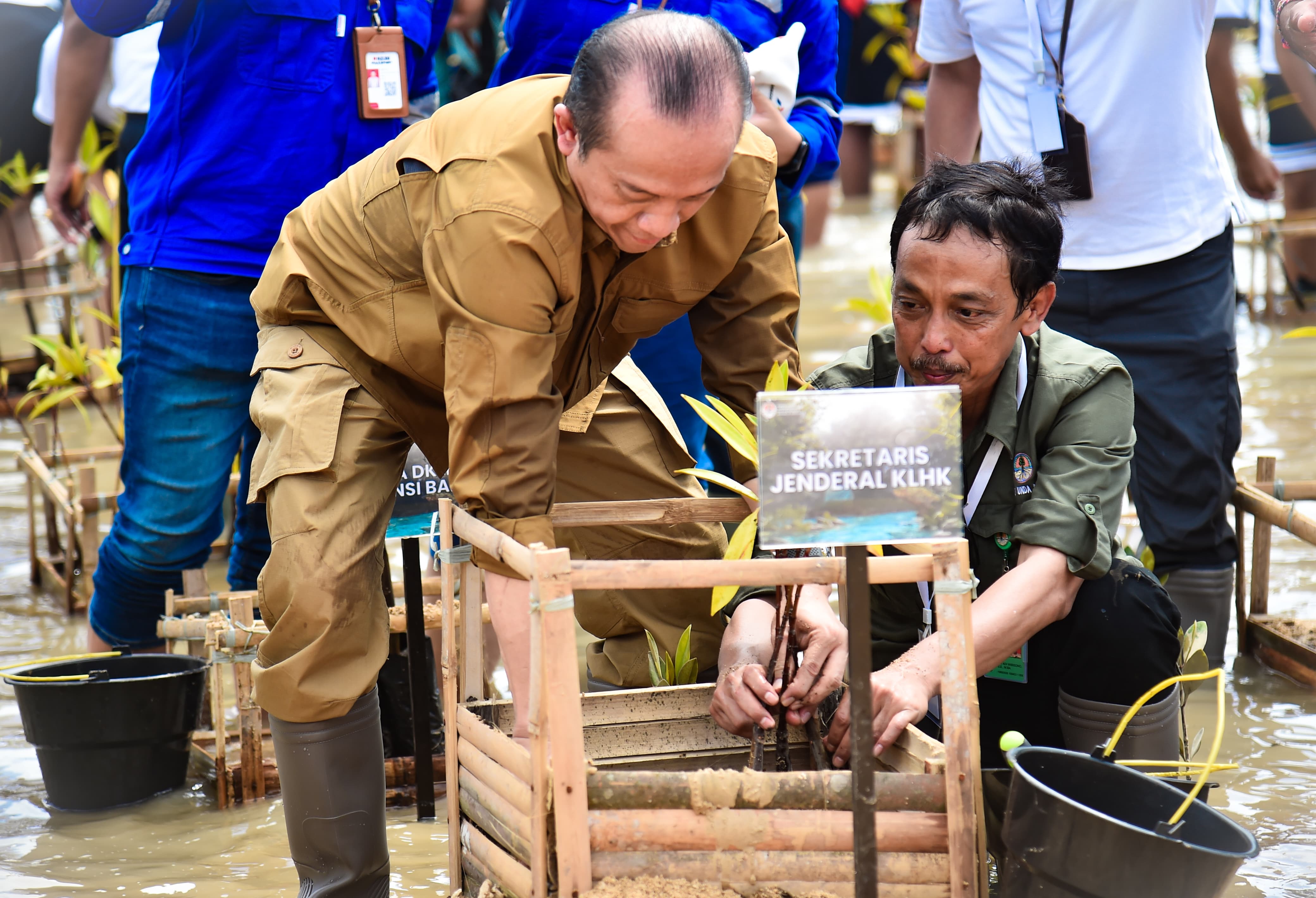 Sekjen KLHK Bambang Hendroyono tanam mangrove di Bali.