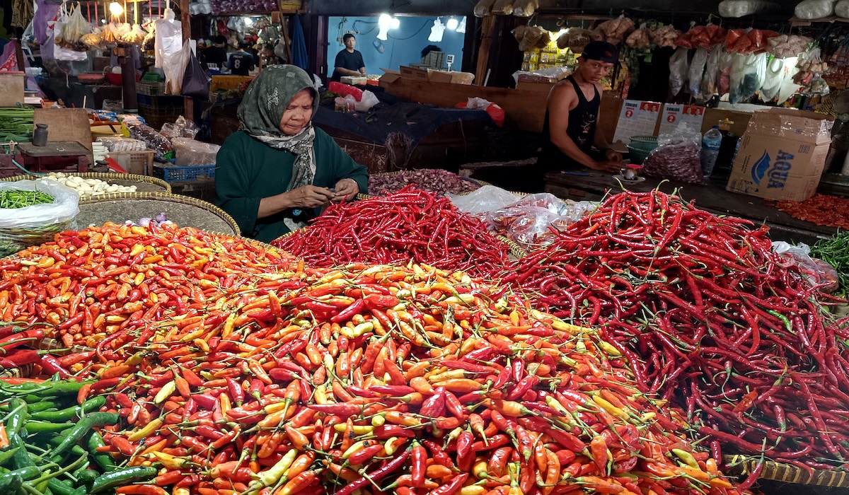 Ilustrasi pedagang cabai