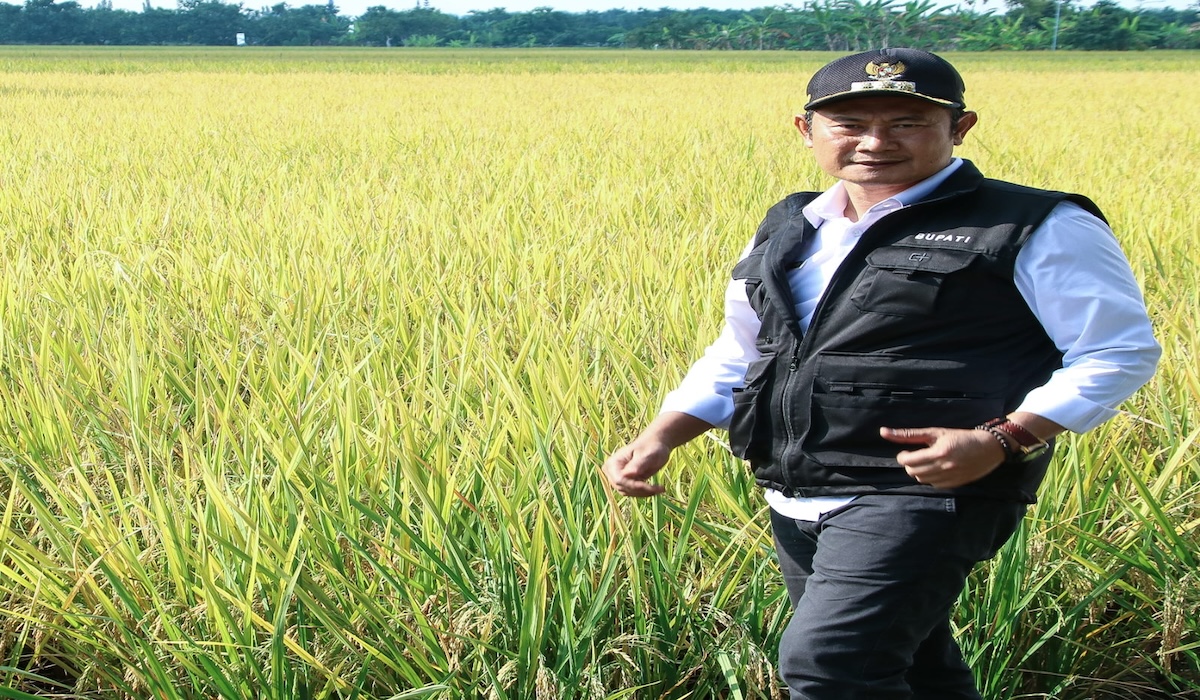 Bupati Lamongan Yuhronur Efendi