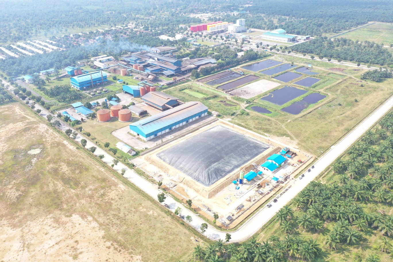 Tekan Emisi, PTPN III dan Pertamina NRE Sepakati Komersialisasi Kredit Karbon