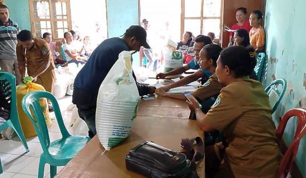 Ratusan warga Antri beras bantuan pangan, di Aula Kantor Desa Watotutu, Kecamatan ile mandiri, Kabupaten Flores timur.