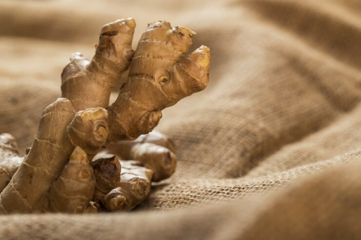 Para Suami Wajib Tahu! Ini Manfaat Ginseng Korea untuk Kesehatan Pria