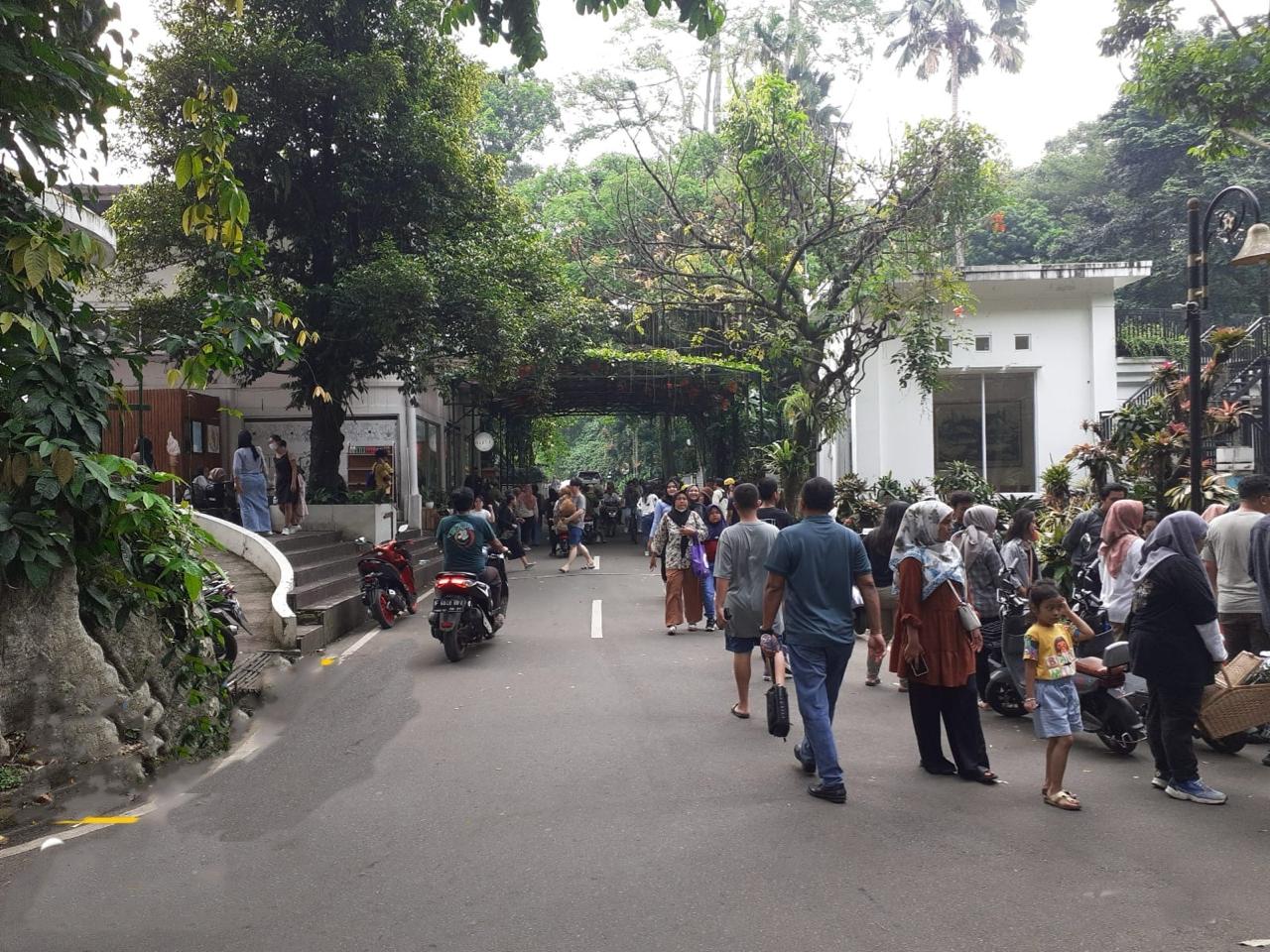 Jumlah pengunjung ke Kebun Raya Bogor terus bertambah bersamaan libur panjang nasional di bulan Februari 2024.