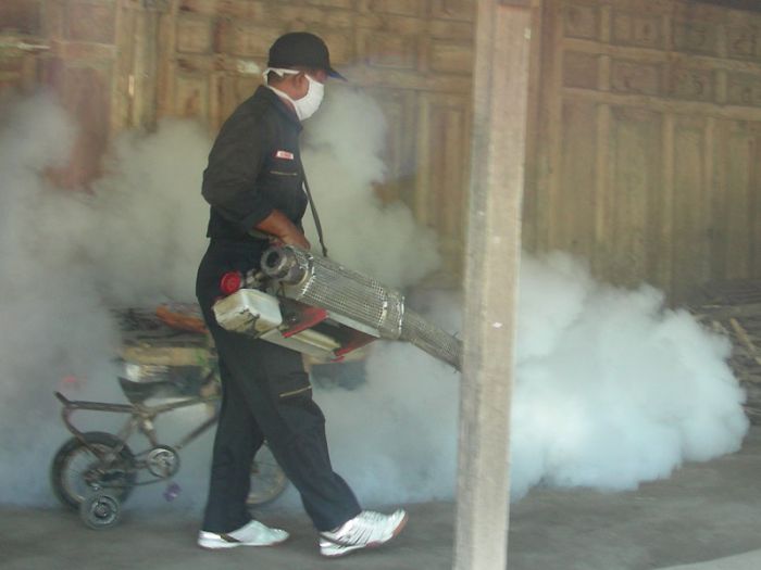 Seorang petugas tengah melakukan penyemprotan untuk mencegah penyebaran nyamuk DBD.