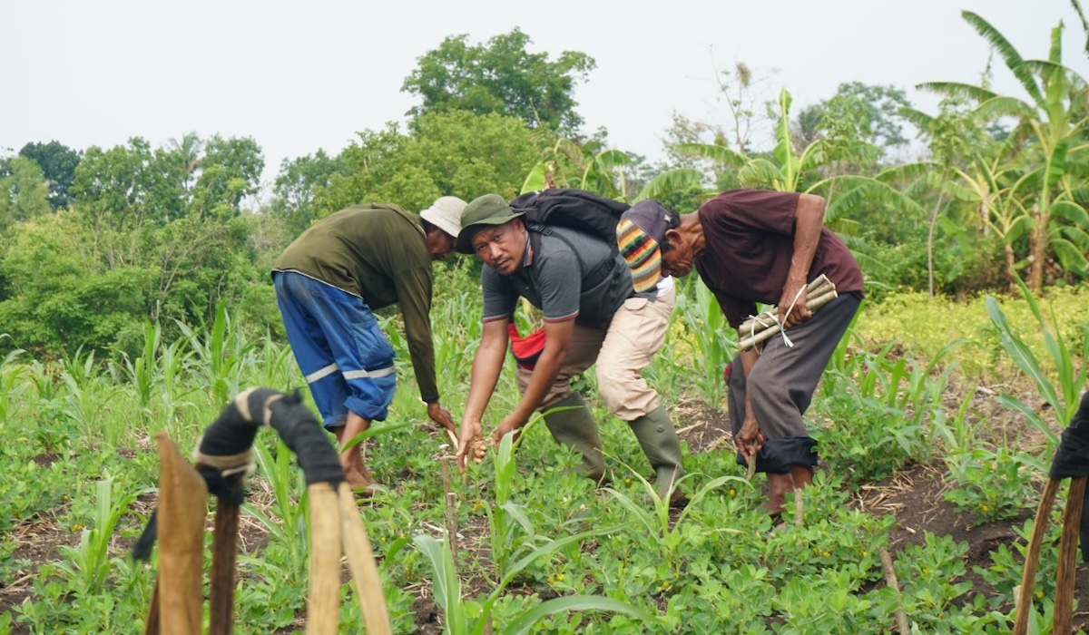 Penanaman pohon gamal oleh PE dan POMI di Probolinggo