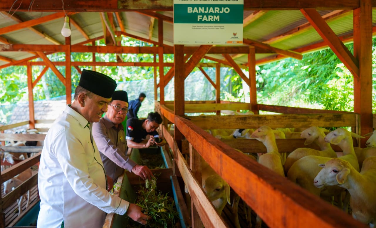 Balai Ternak Baznas di Pacitan, Jawa Timur.