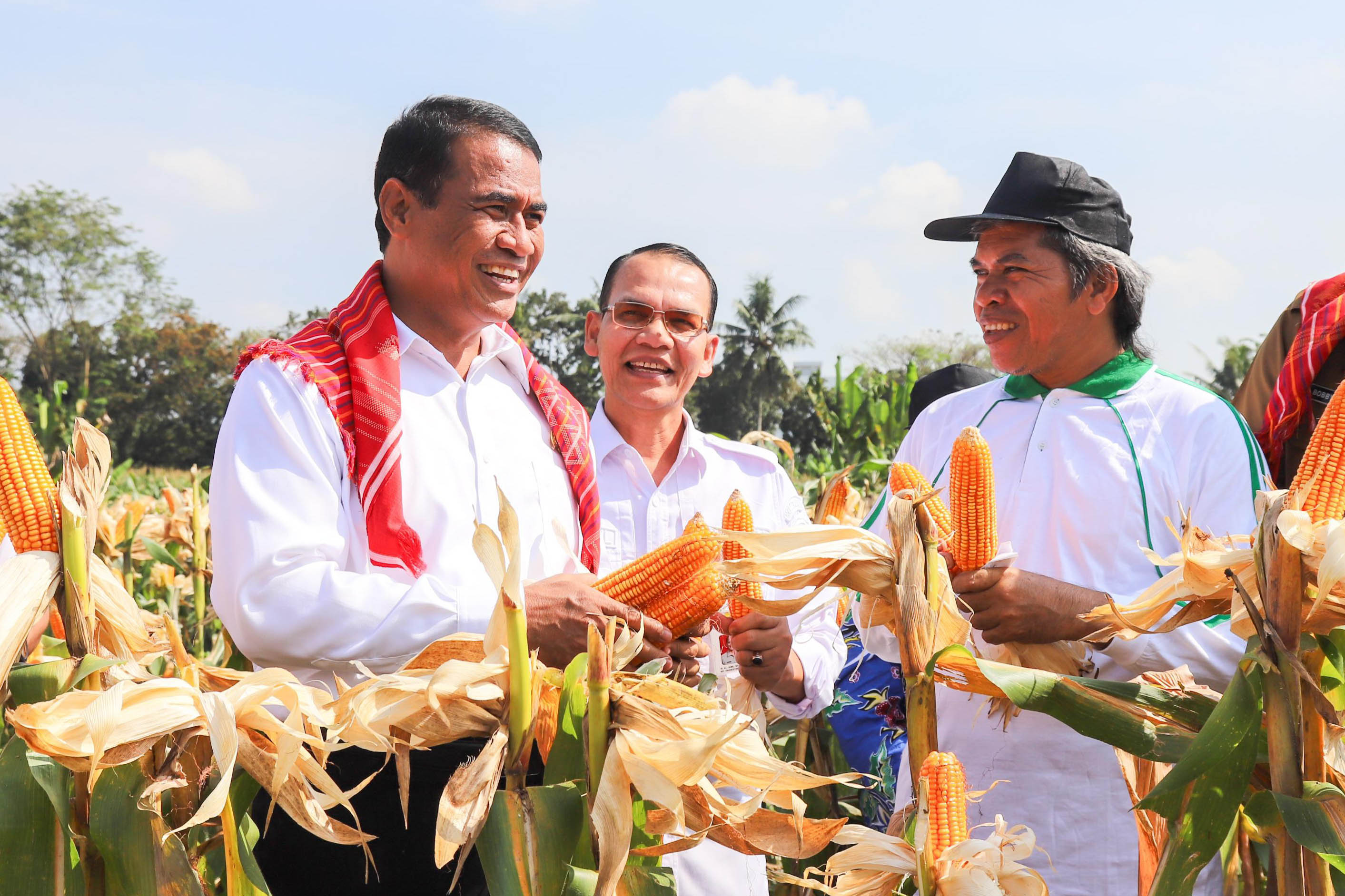Menteri Pertanian Andi Amran Sulaiman (kedua kiri) ikut memanen jagung di Kelurahan Kemenangan Tani, Kota Medan, Senin (5/2).