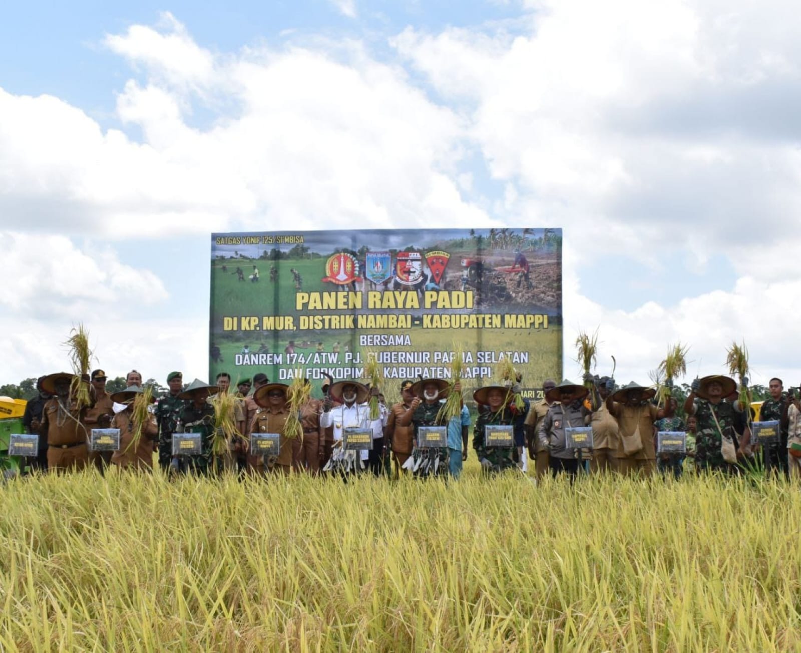Panen raya di lahan seluas empat hektar di Kampung Mur Distrik Nambai, Kabupaten Mappi, Papua Selatan 