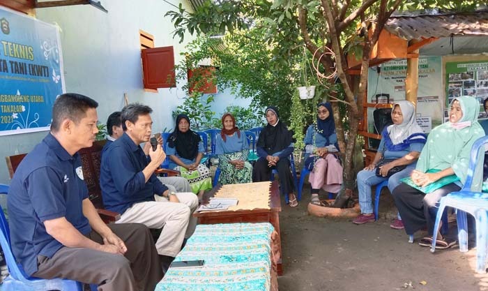 Program SIMURP tingkatkan kompetensi anggota KWT Rumah Jamur Takalar di Kabupaten Takalar, Sulawesi Selatan.