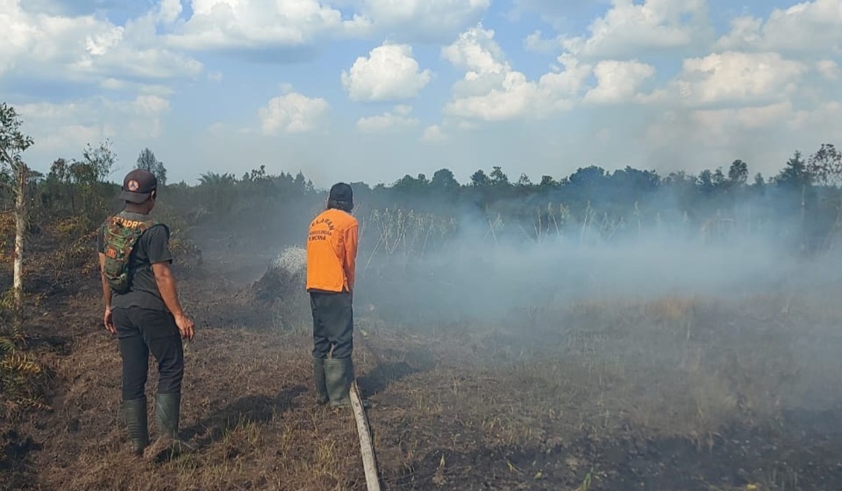 Petugas berupaya memadamkan kebakaran di semak-semak Kalsel.