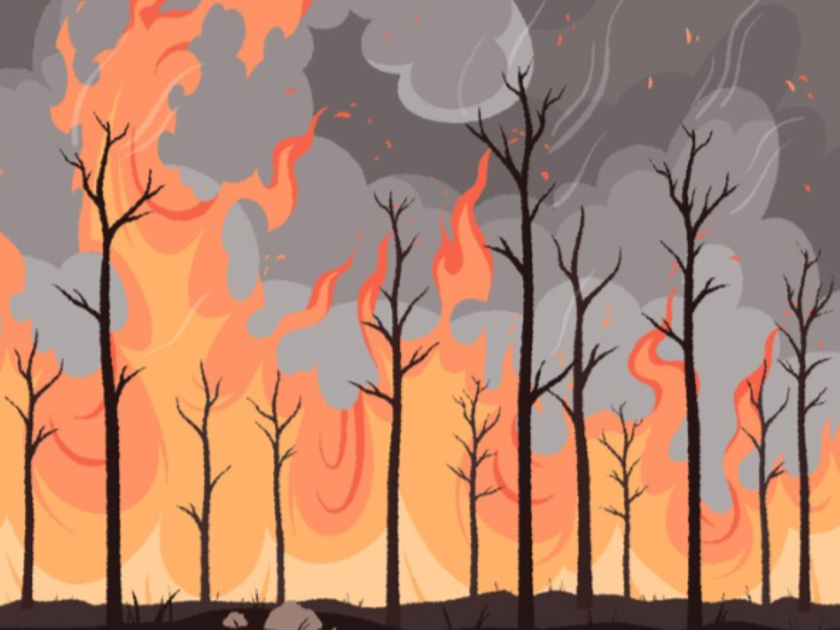 Kebakaran Hebat Landa Kawasan Wisata Ocarina Batam