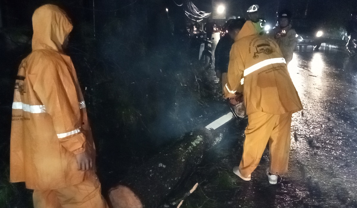Pohon Tumbang di Empat Titik Wilayah Lembang, Aktivitas Warga Sempat Terhambat