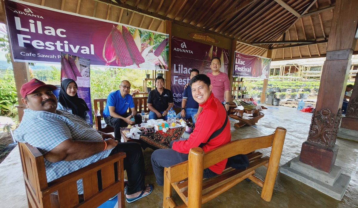 Lilac Festival di Pujon Kidul, Malang, Jawa Timur