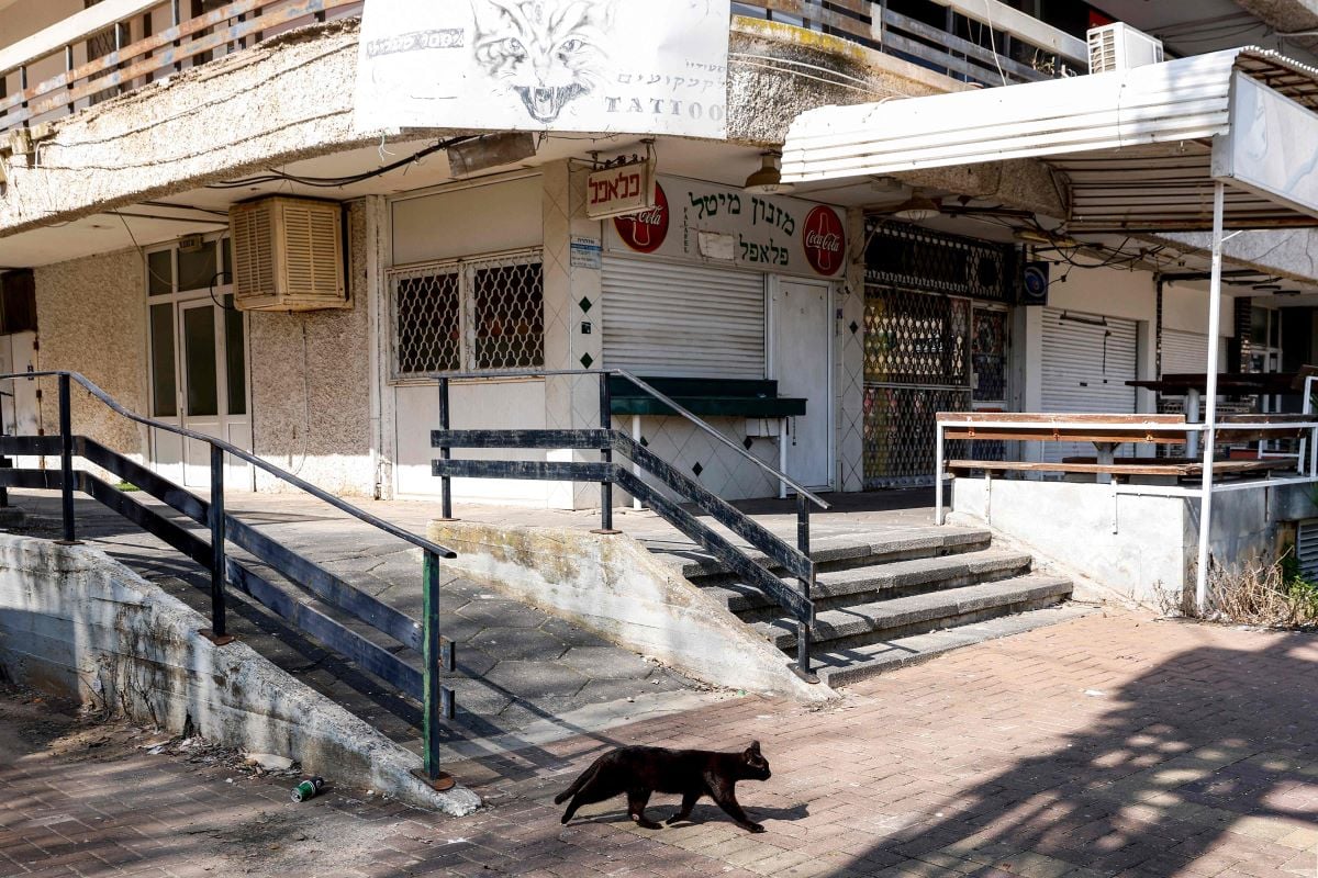 Seekor kucing berjalan melewati toko-toko yang tutup di kota Kiryat Shmona, Israel utara, pada 11 Februari 2024.