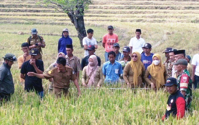 Kegiatan FFD di Pinrang, Sulawesi Selatan, melibatkan berbagai elemen masyarakat.