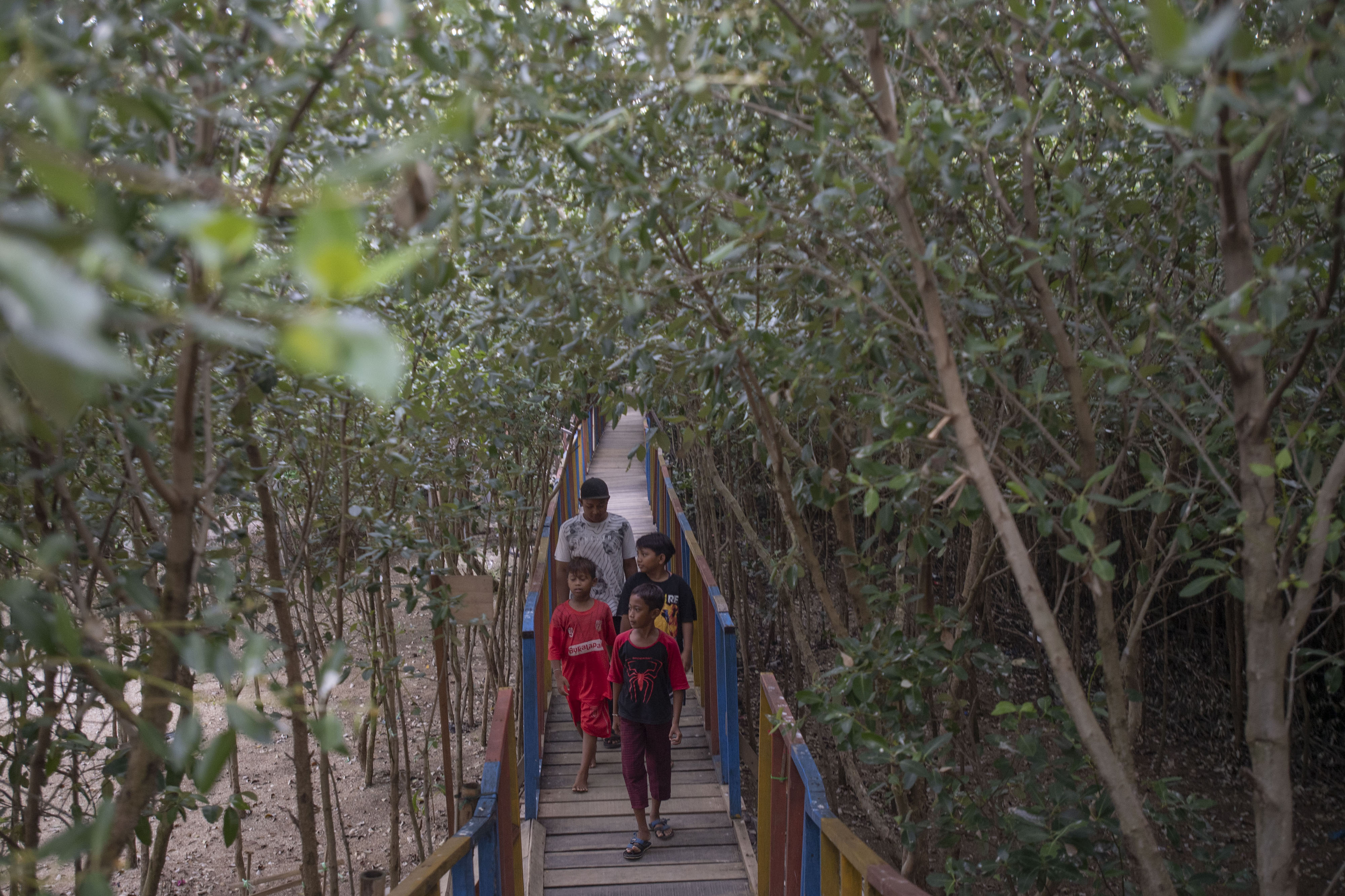 Warga berjalan di area hutan mangrove. Adhi Karya melakukan kegiatan konservasi mangrove di Karawang, Banten dan IKN serta Bali.