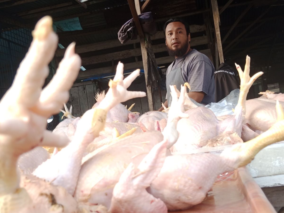 Ilustrasi daging ayam.