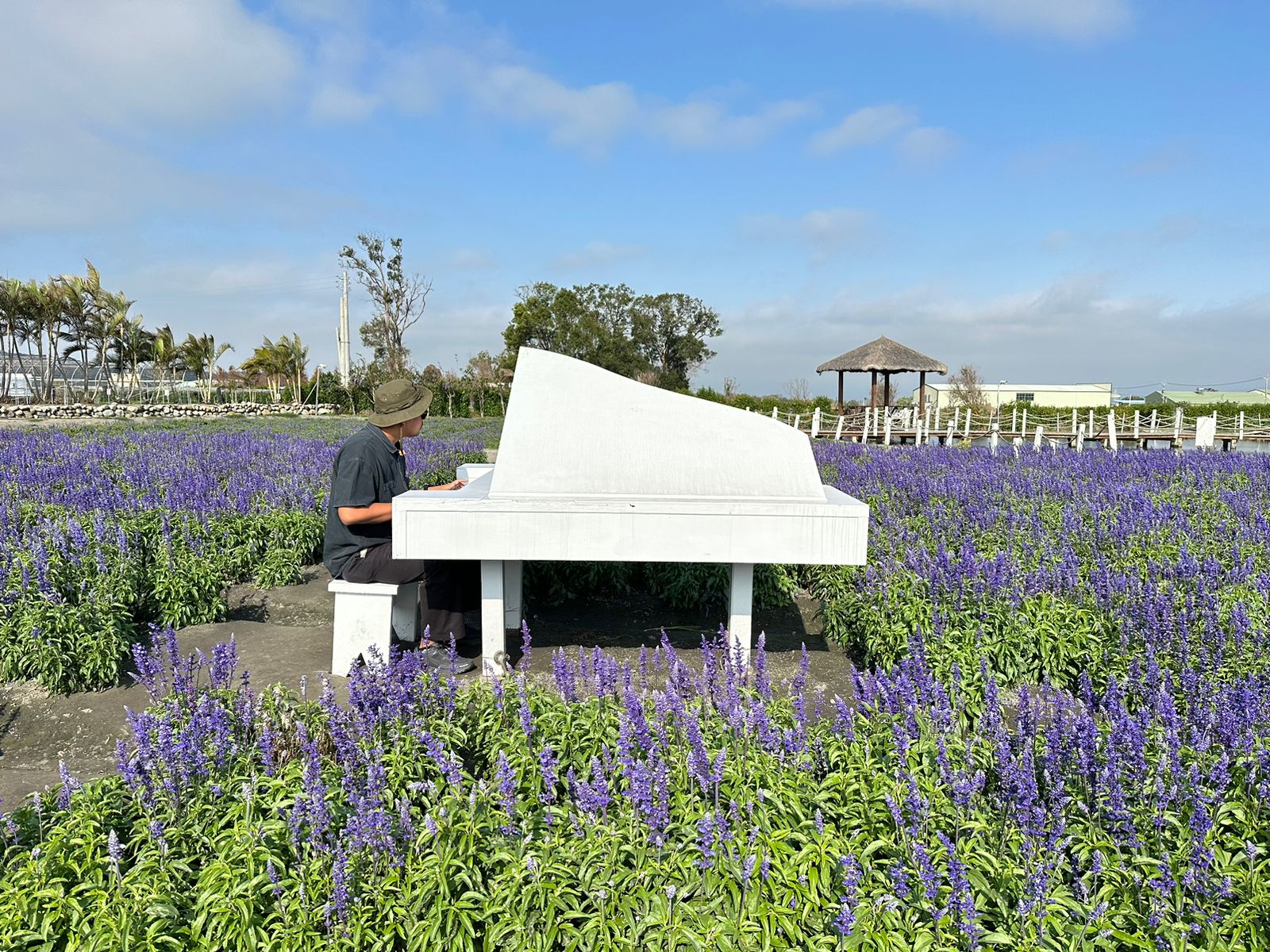 Pelbagai jenis bunga bermekaran di Chung-She Flower Garden di Taichung, Taiwan