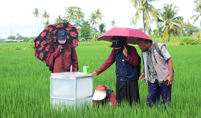 Kegiatan CSA SIMURP dapat menurunkan emisi GRK sebesar 4,6 hingga 62,6% dibandingkan non-CSA.