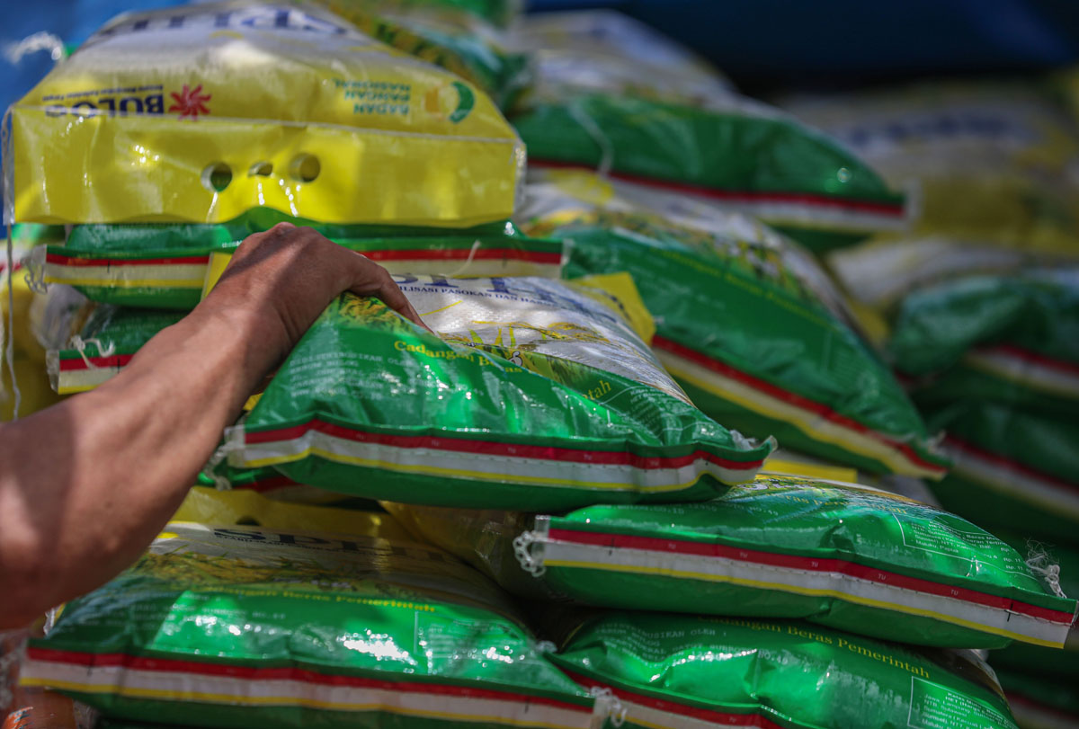 Harga beras di beberapa daerah di Jawa Tengah mulai turun saat mulai memasuki masa panen.