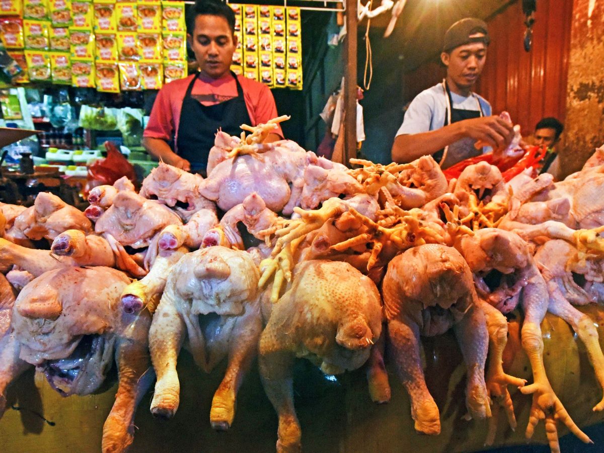  Harga 11 Komoditas Pangan di Padang Panjang Kompak Naik