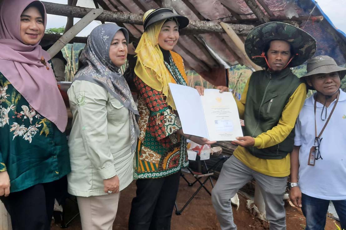 Petani Muda Cianjur Semangat Tambah Luas Lahan Tanam