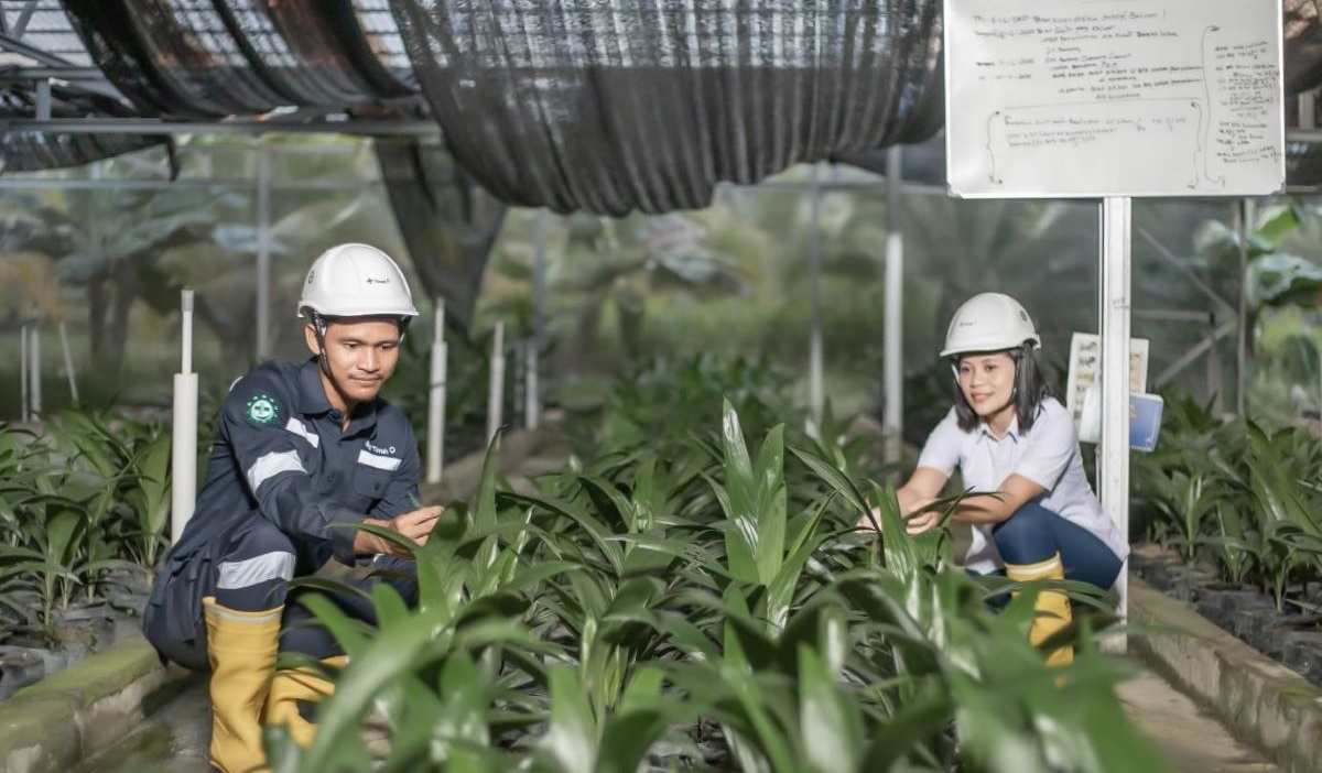 Di area lahan bekas tambang, perusahaan menanam berbagai jenis tanaman buah-buahan seperti alpukat, jeruk, nangka, dan yang lain.