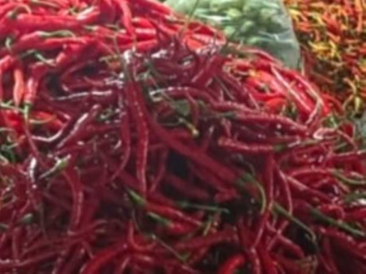 Harga Cabai Melonjak ke Rp100 Ribu per Kg
