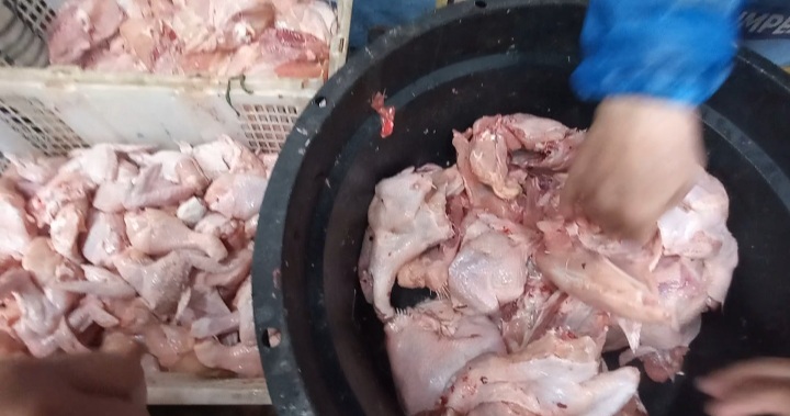 Harga daging ayam di pangkalpinang stabil