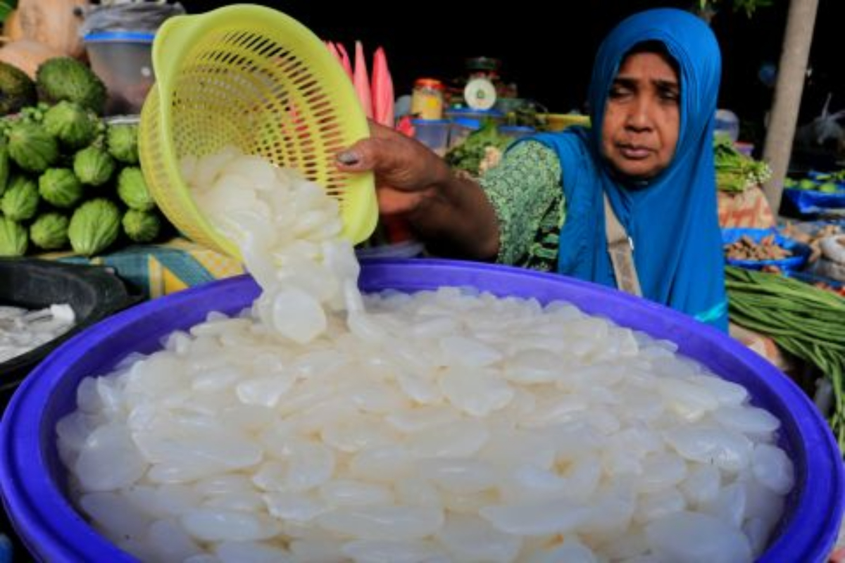 Buah kolang kaling yang berasal daei pohon aren ini ternyata memiliki banyak khasiat untuk kesehatan tubuh