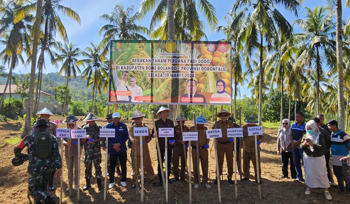 Kick Off Penanaman Perdana Padi Gogo di lahan perkebunan di Gorontalo