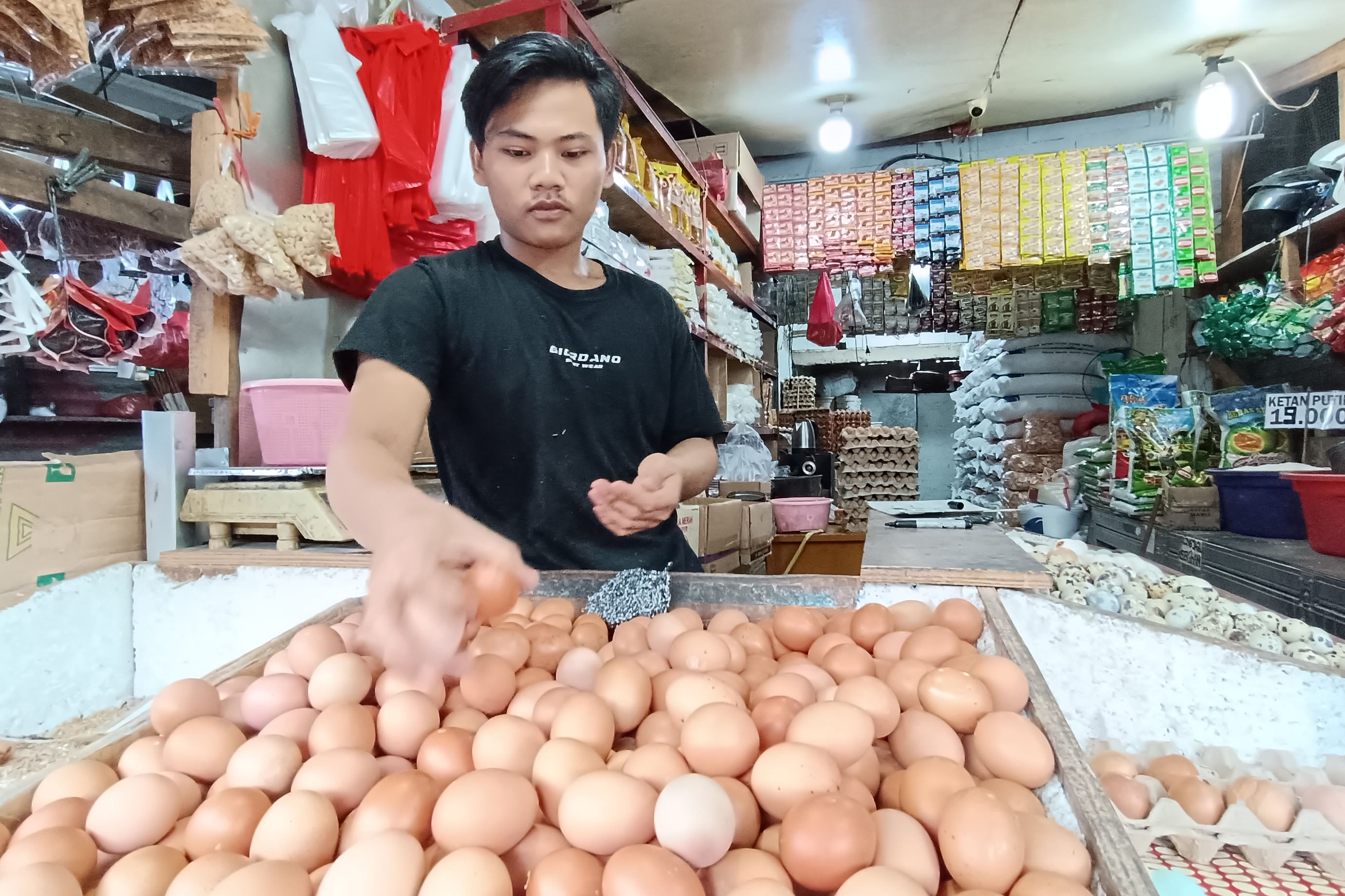 Pedagang memilah telur ayam yang akan dijual di pasar
