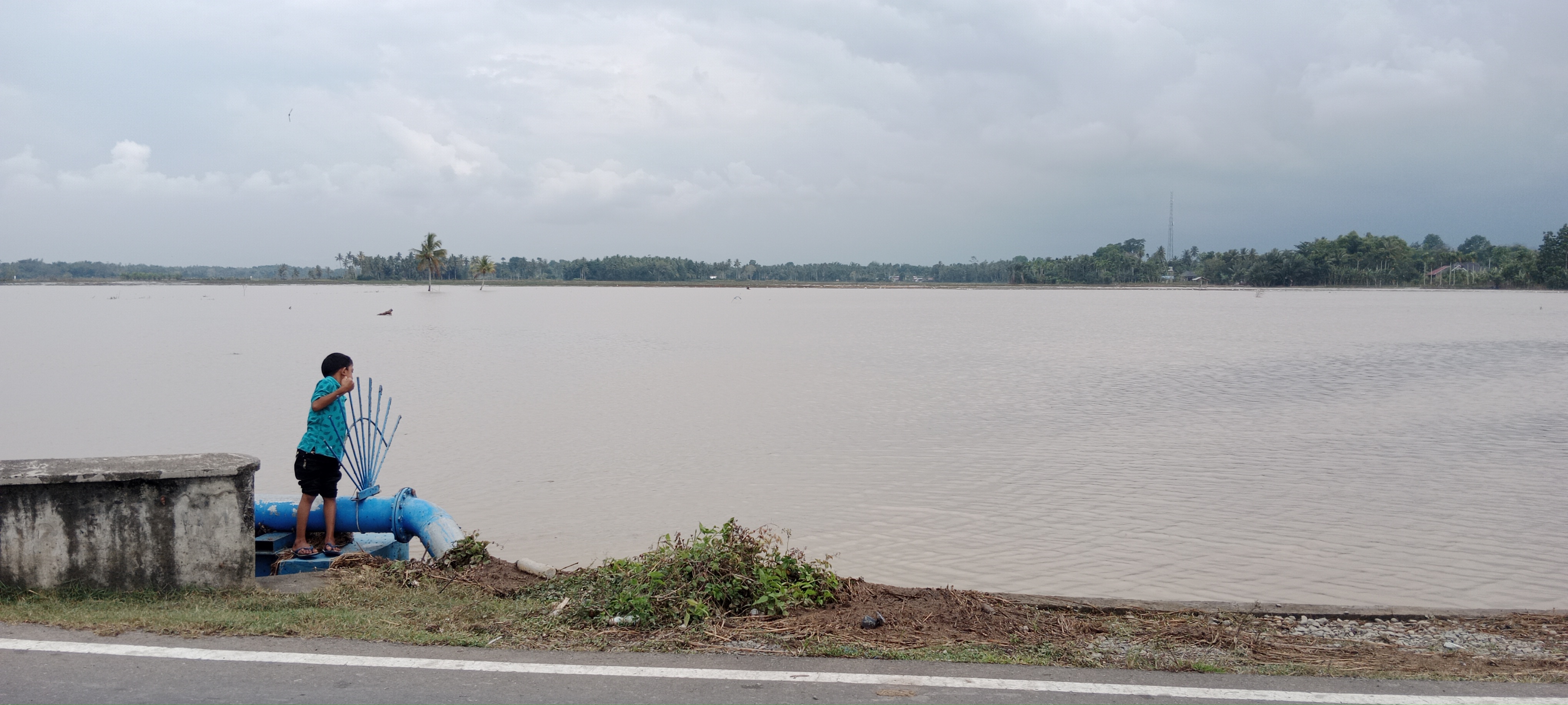 Melemahnya Ketahanan Air Ancam Ketahanan Pangan Global