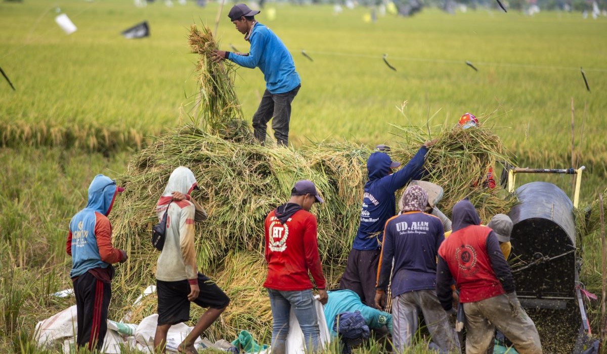 Perlu Kebijakan yang Tangguh untuk Atasi Dinamika Cuaca dan Perubahan Iklim di Sektor Pertanian