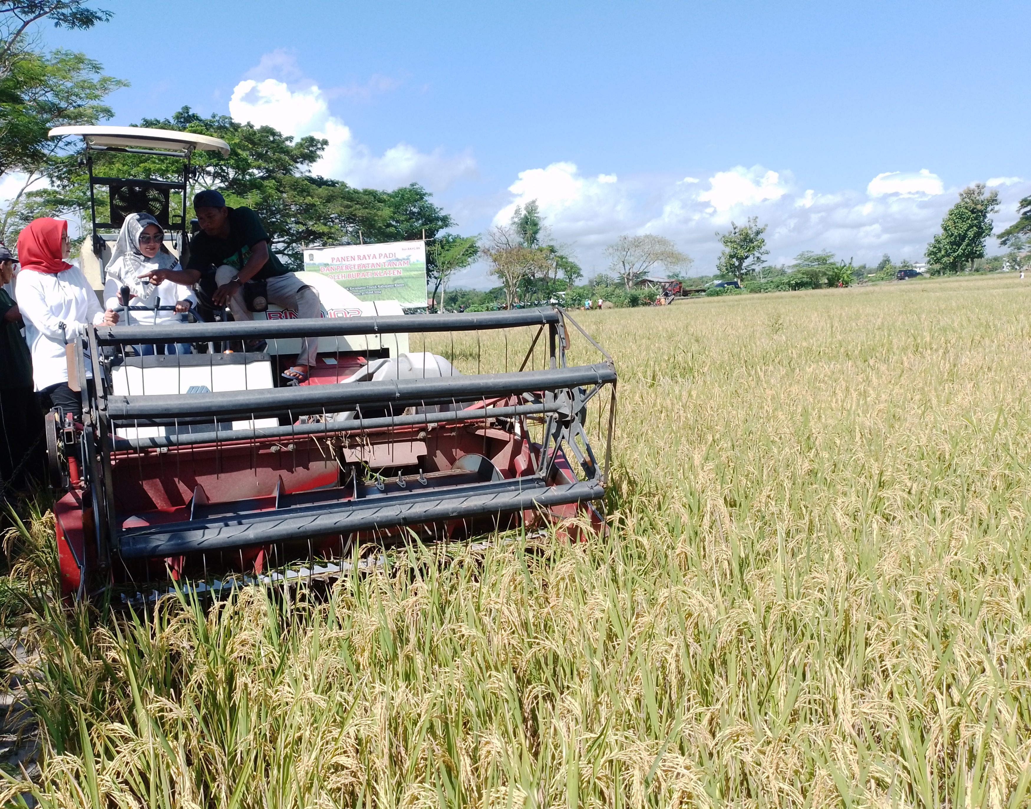 Bupati Sri Mulyani secara simbolis melakukan panen raya dengan combine harvester di Desa Trucuk.
