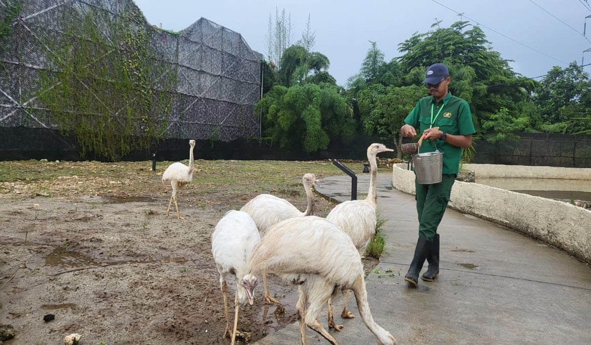 Aviary Park Indonesia