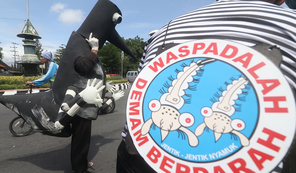 Petugas Dinas Kesehatan mengenakan kostum nyamuk saat sosialisasi pencegahan demam berdarah.