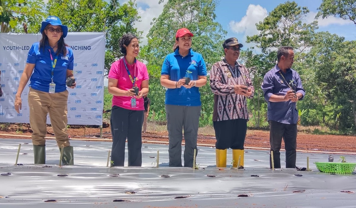 Citi Indonesia dan Plan Indonesia memperkenalkan program Youth-Led Agri-Food (YLA) di 25 desa di Kabupaten Timor Tengah Selatan (TTS), NTT
