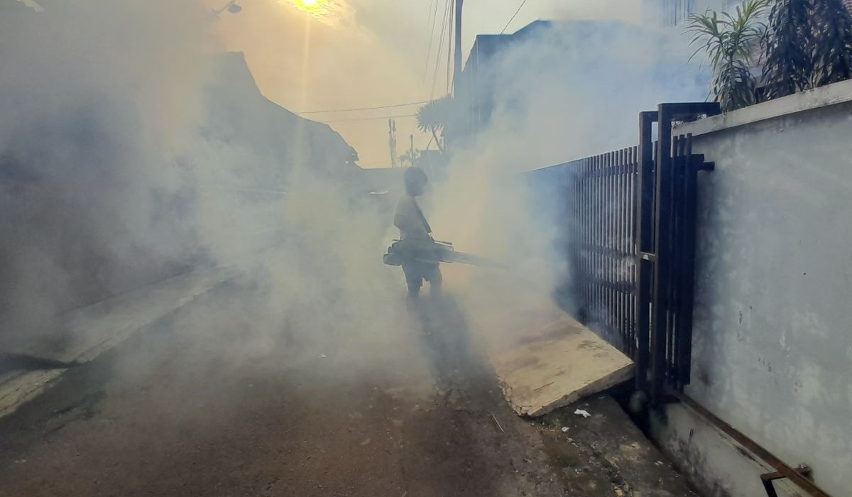 Pengendalian DBD Butuh Kolaborasi Kuat Pemerintah dan Masyarakat