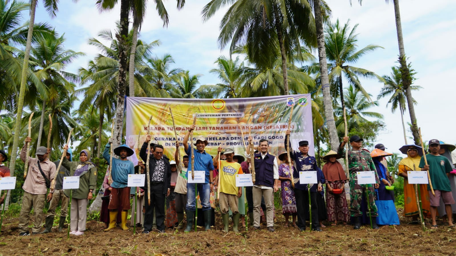 Sekretaris Direktorat Jenderal Perkebunan, Heru Tri Widarto melaksanakan 2 kali tanam padi di 2 kabupaten