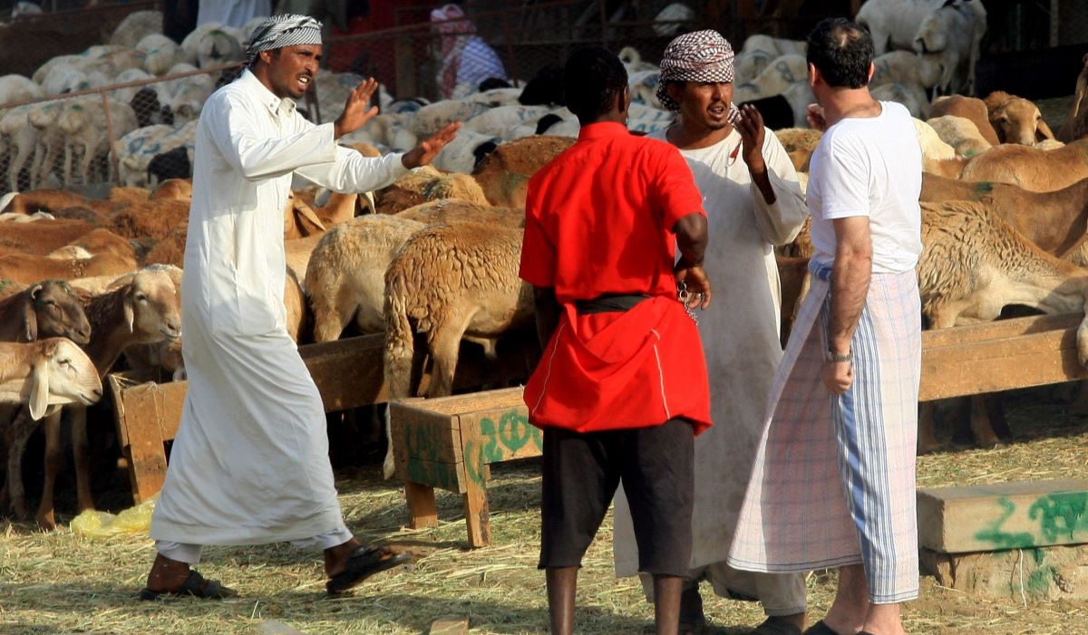 Kemenag akan Bawa Daging Dam ke Tanah Air untuk Atasi Stunting