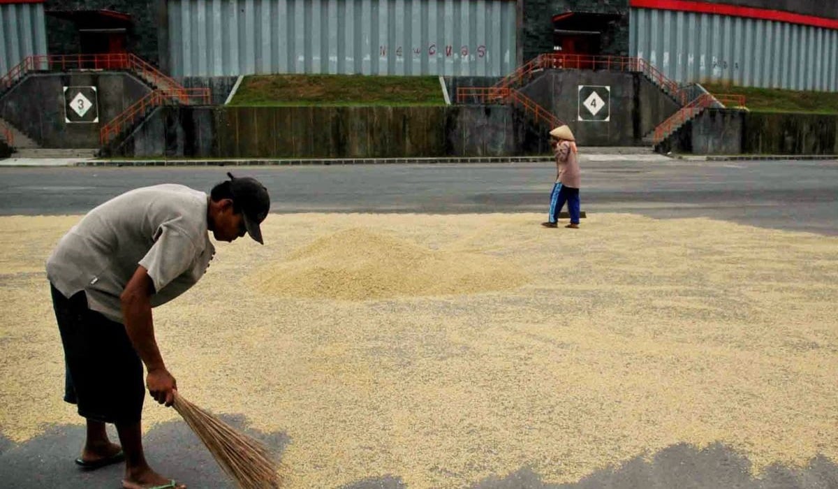 Sejumlah petani menjemur gabah di halaman parkir Stadion Sultan Agung, Bantul, Yogyakarta, Rabu (17/2).